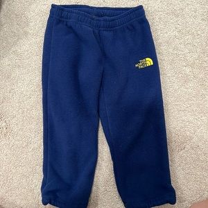 The North Face fleece with fuzzy lining inside pants